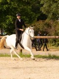 DSC03405 DSC03405
