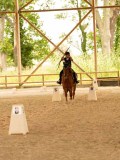 DSC00159 DSC00159