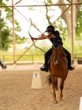 DSC00178 DSC00178