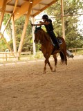 DSC00188 DSC00188