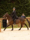 DSC05756 DSC05756
