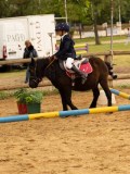 DSC00773 DSC00773