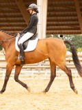 DSC08586 DSC08586