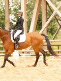DSC08590 DSC08590