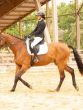 DSC08598 DSC08598