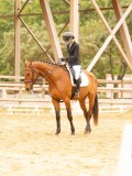 DSC08613 DSC08613