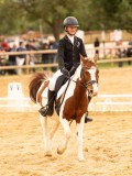 DSC07845 DSC07845