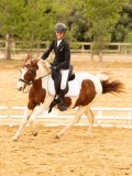 DSC07850 DSC07850