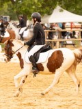 DSC07854 DSC07854
