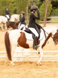DSC07858 DSC07858