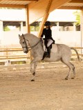 DSC07600 DSC07600