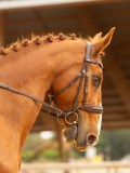DSC08164 DSC08164