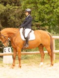 DSC08178 DSC08178