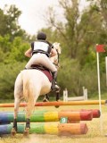 DSC01814 DSC01814