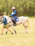 DSC02244 DSC02244