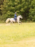 DSC02250 DSC02250