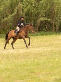 DSC02185