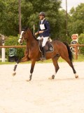 DSC03474 DSC03474