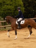 DSC05188 DSC05188