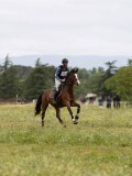IMG_2003 IMG_2003