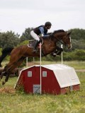 IMG_2005 IMG_2005