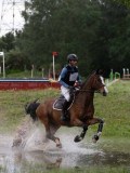 IMG_2015 IMG_2015