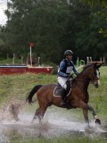 IMG_2016 IMG_2016