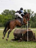 IMG_2022 IMG_2022