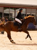 DSC02953 DSC02953