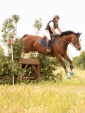 DSC02565 DSC02565
