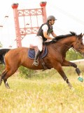DSC02566 DSC02566