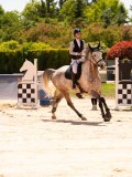 DSC08819 DSC08819