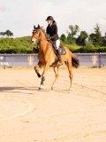 DSC03828 DSC03828