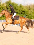DSC03830 DSC03830