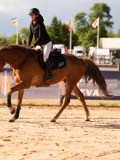 DSC03845 DSC03845