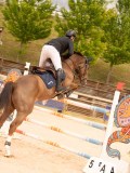 DSC08175 DSC08175