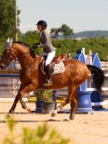 DSC04544 DSC04544