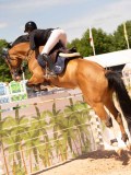 DSC03810 DSC03810