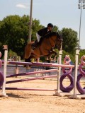 DSC03817 DSC03817