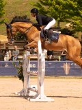 DSC03828 DSC03828