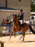 DSC03829 DSC03829