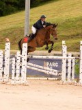DSC00559 DSC00559