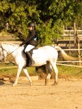 DSC02104