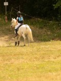 DSC04194