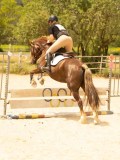 DSC03783
