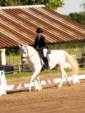 DSC02248 DSC02248