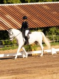 DSC02249 DSC02249