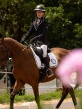 DSC03658 DSC03658