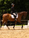 DSC03667 DSC03667