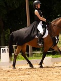 DSC03719 DSC03719